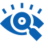 vision icon